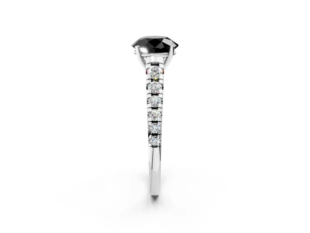 Fancy Black Round Cut Diamond Cathedral Solitaire Ring with Round Pavé Band Silver