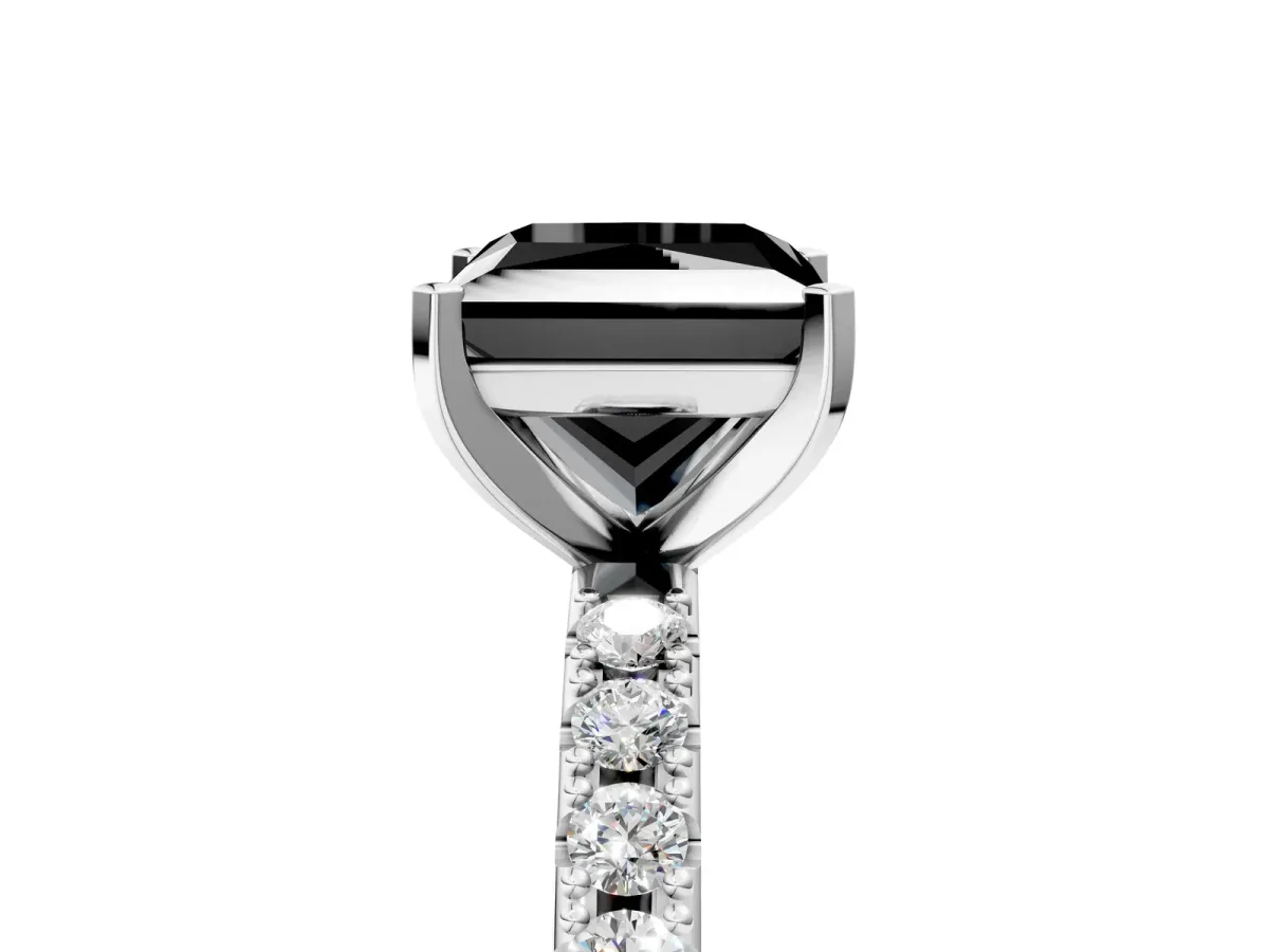 Fancy Black Princess Cut Diamond Solitaire Pavé Band with Four-Prong Setting Silver