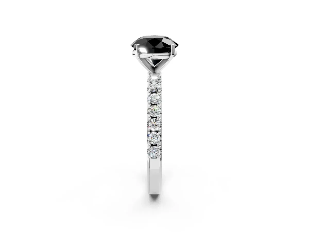Fancy Black Round Cut Diamond Solitaire Pavé Band with Four-Prong Setting Silver