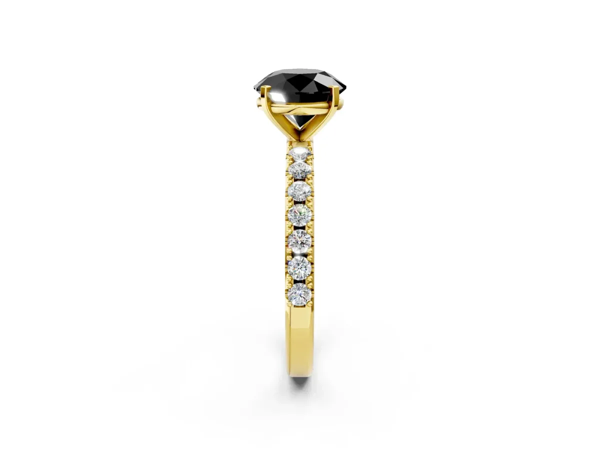 Fancy Black Round Cut Diamond Solitaire Pavé Band with Four-Prong Setting Yellow gold