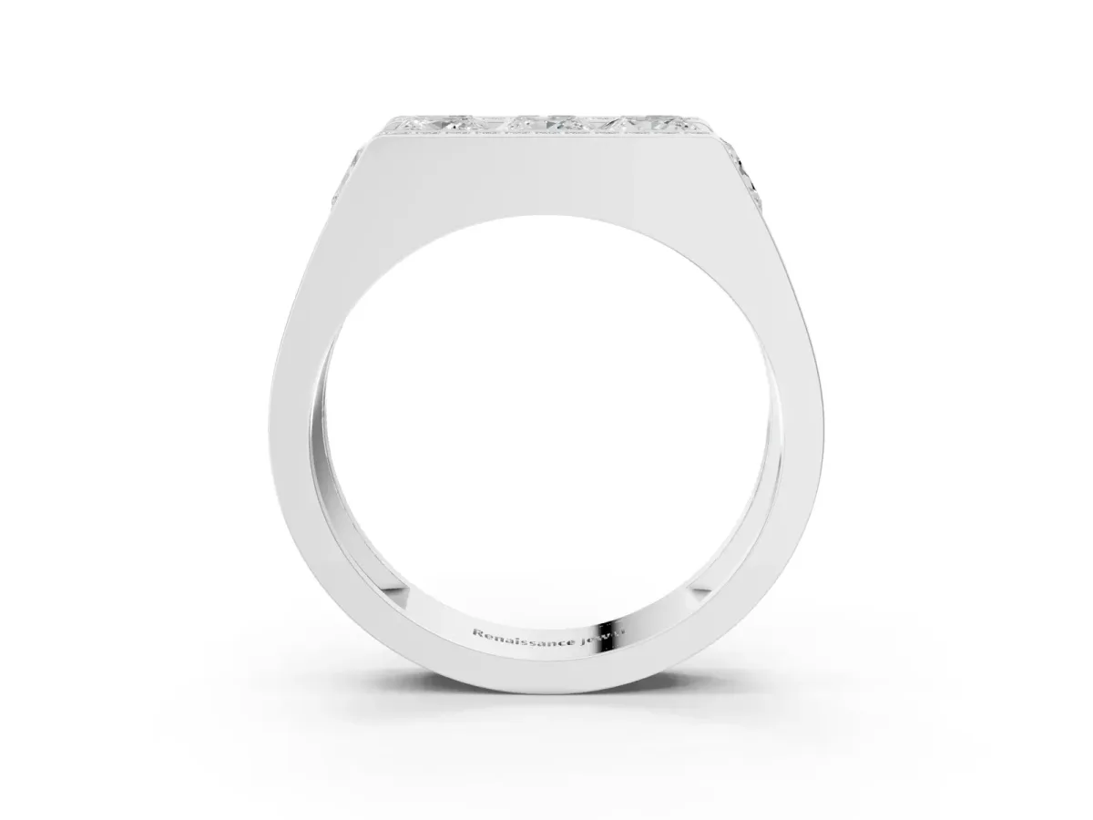Princess and Round Diamond Channel Pavé Mens Band Silver