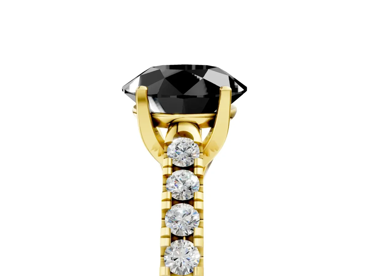 Fancy Black Round Cut Diamond Pavé Band Solitaire Ring with Prong Setting Yellow gold