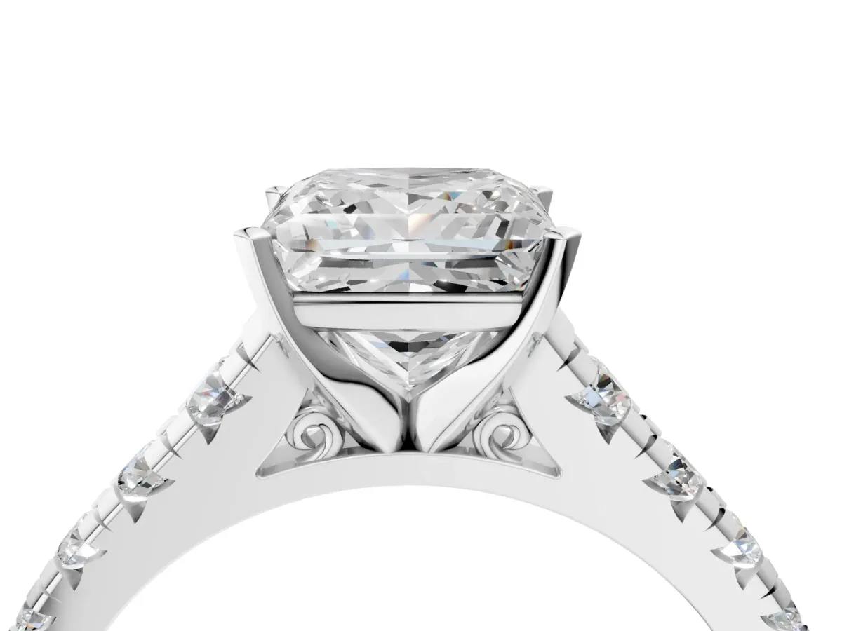 Princess Cut Diamond Cathedral Solitaire Ring with Round Moissanite Pavé Band Silver