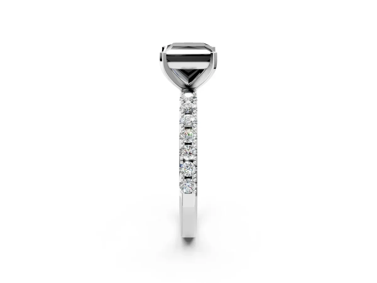Fancy Black Princess Cut Diamond Solitaire Pavé Band with Four-Prong Setting Silver