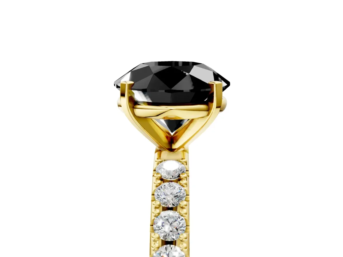 Fancy Black Round Cut Diamond Solitaire Pavé Band with Four-Prong Setting Yellow gold