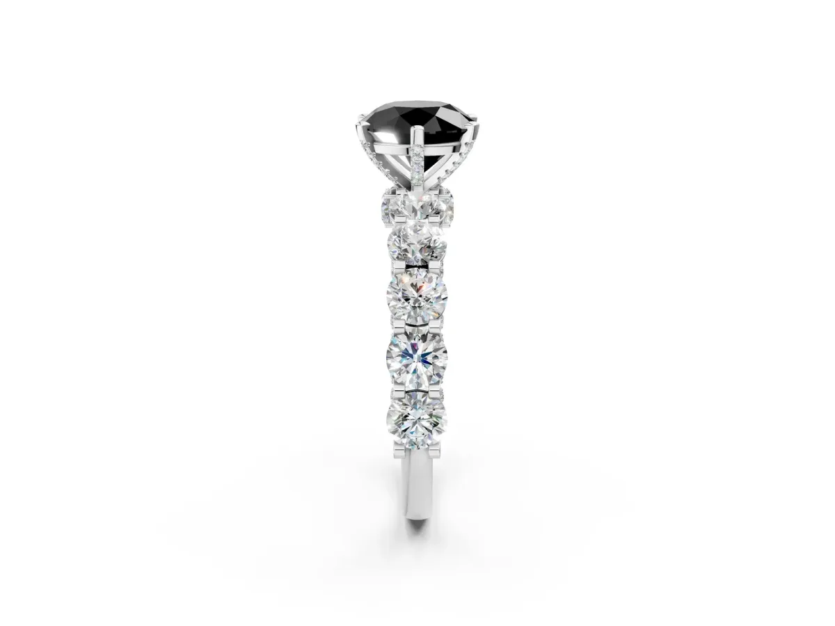 Fancy Black Round Cut Diamond Side Stone Engagement Ring with Four-Prong Setting White gold