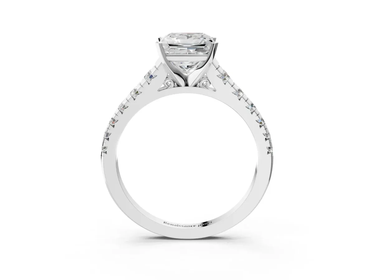 Princess Cut Diamond Cathedral Solitaire Ring with Round Moissanite Pavé Band Silver