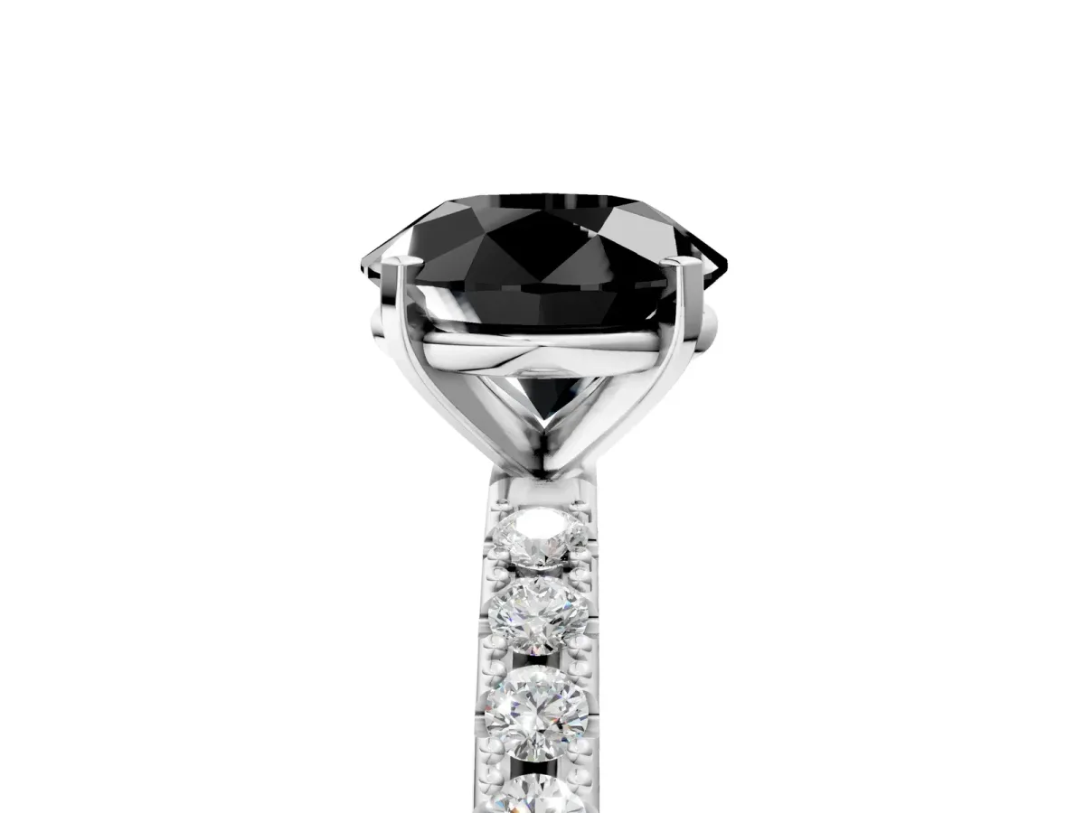 Fancy Black Round Cut Diamond Solitaire Pavé Band with Four-Prong Setting Silver