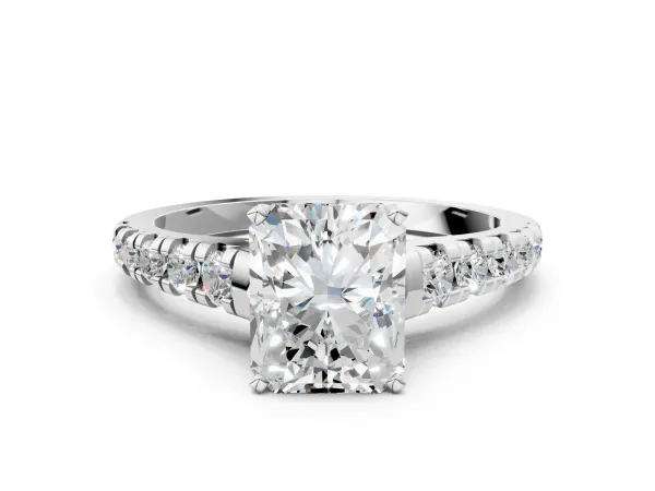Radiant Cut Diamond Cathedral Solitaire Ring with Round Pavé Band Platinum