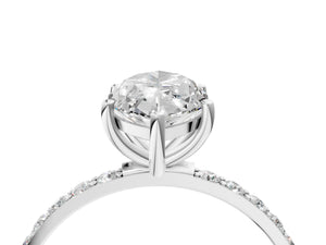 White gold Marquise Cut Diamond Pavé Band Solitaire Ring with Four-Prong Setting_82