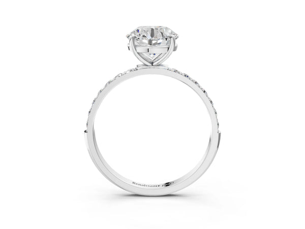 White gold Round Cut Diamond Pavé Band Solitaire Ring with Four-Prong Setting_75