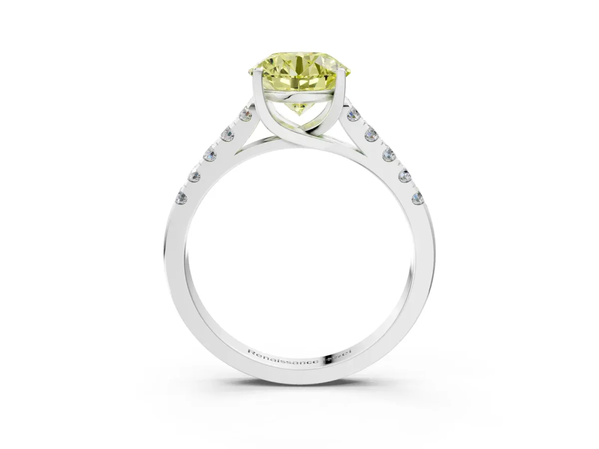 Fancy Yellow Round Cut Diamond Pavé Band Solitaire Ring with Prong Setting White gold