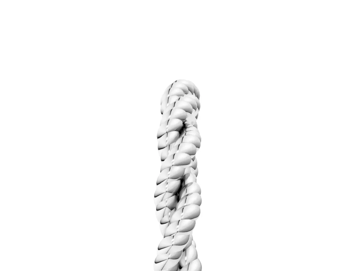 Twisted Rope Solitaire Band with Round Stone and Bezel Setting Platinum