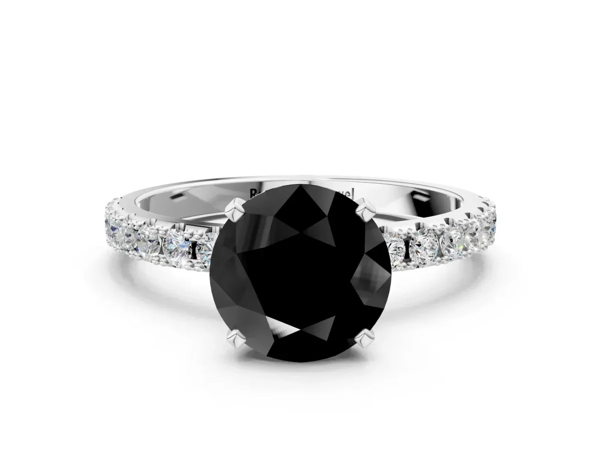 Fancy Black Round Cut Diamond Solitaire Pavé Band with Four-Prong Setting Silver
