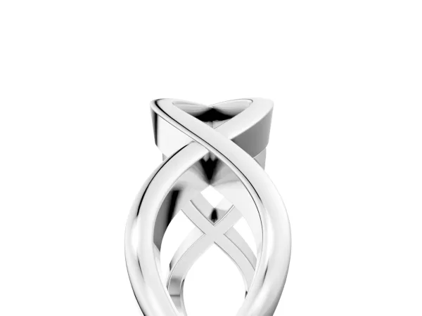Twisted Infinity Plain Band Platinum