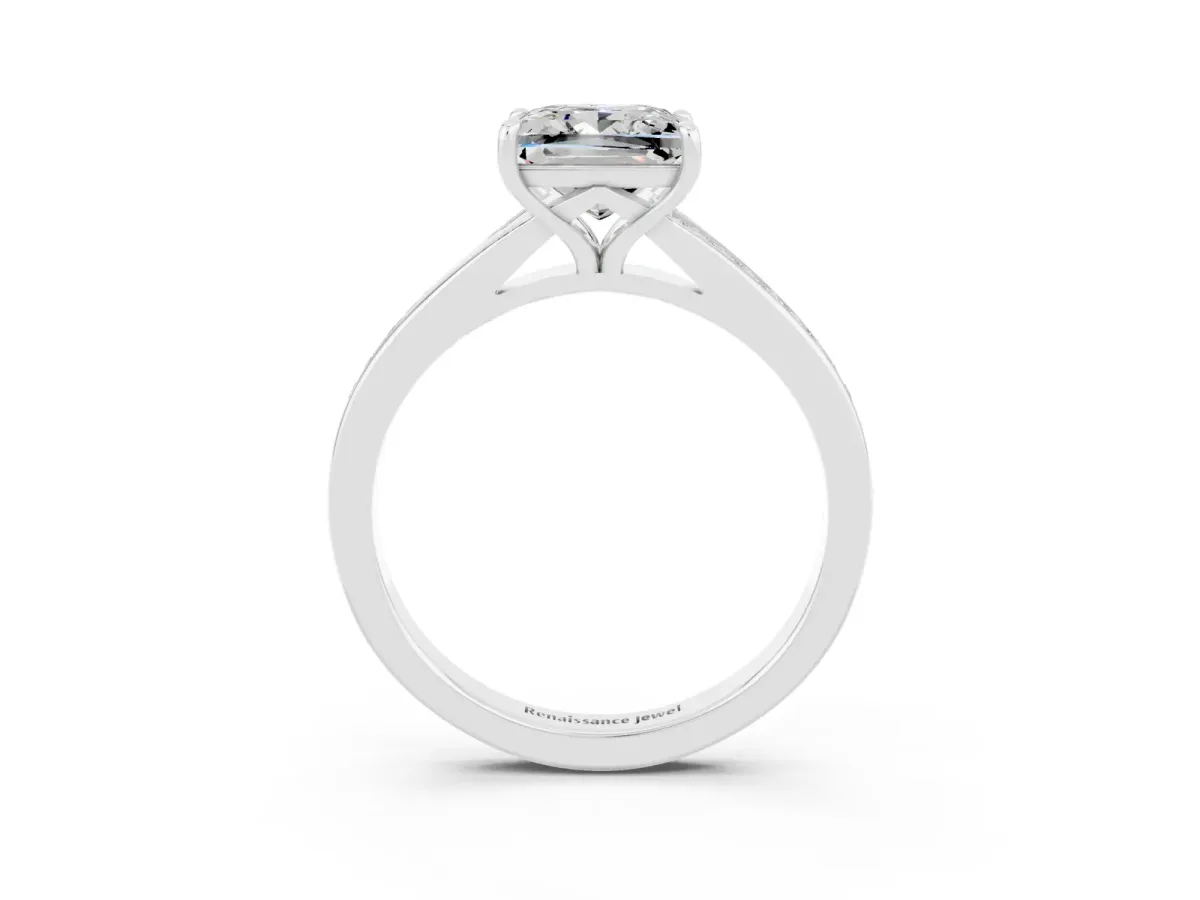 Princess Cut Moissanite Solitaire Ring with Pavé Band and Prong Setting Silver