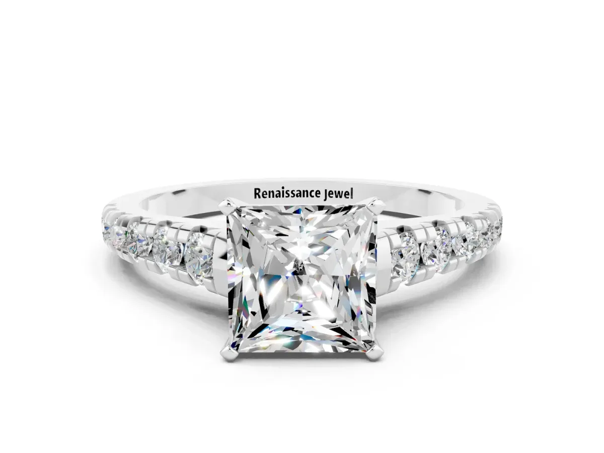 Princess Cut Moissanite Cathedral Solitaire Ring with Round Pavé Band Silver