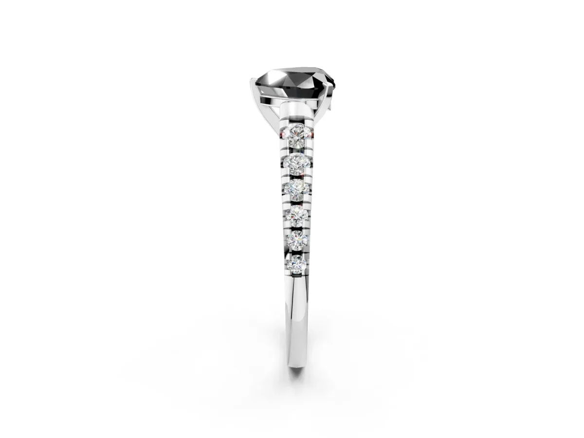 Fancy Black Heart Cut Diamond Cathedral Solitaire Ring with Round Pavé Band Silver