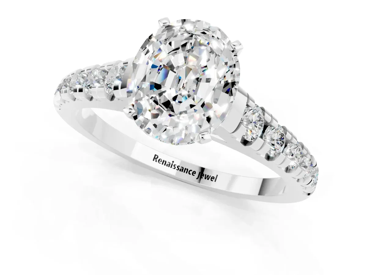 Oval Cut Moissanite Cathedral Solitaire Ring with Round Pavé Band Silver