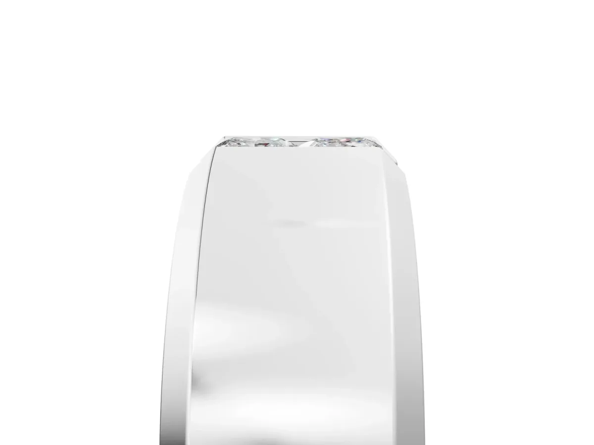 Princess Diamond Two-Stone Mens Band Platinum
