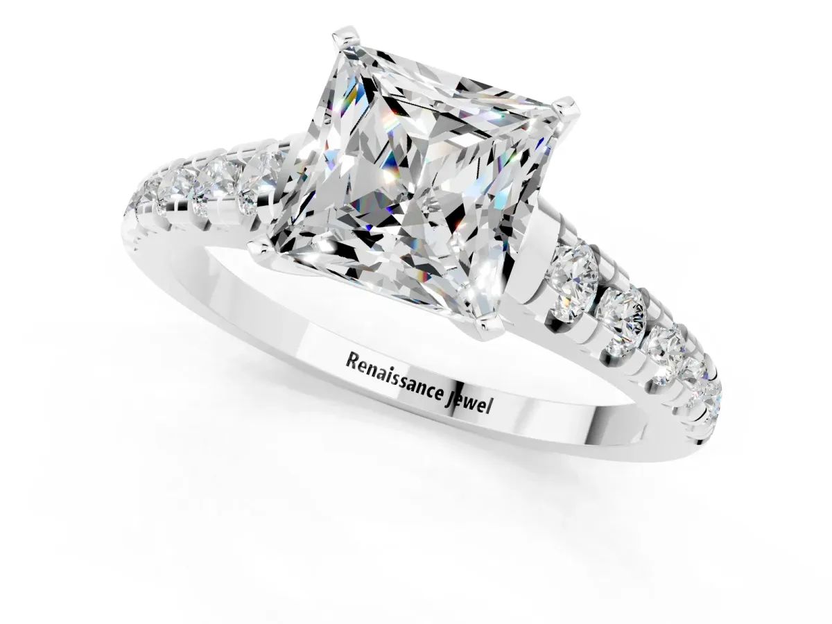 Princess Cut Moissanite Cathedral Solitaire Ring with Round Pavé Band Silver