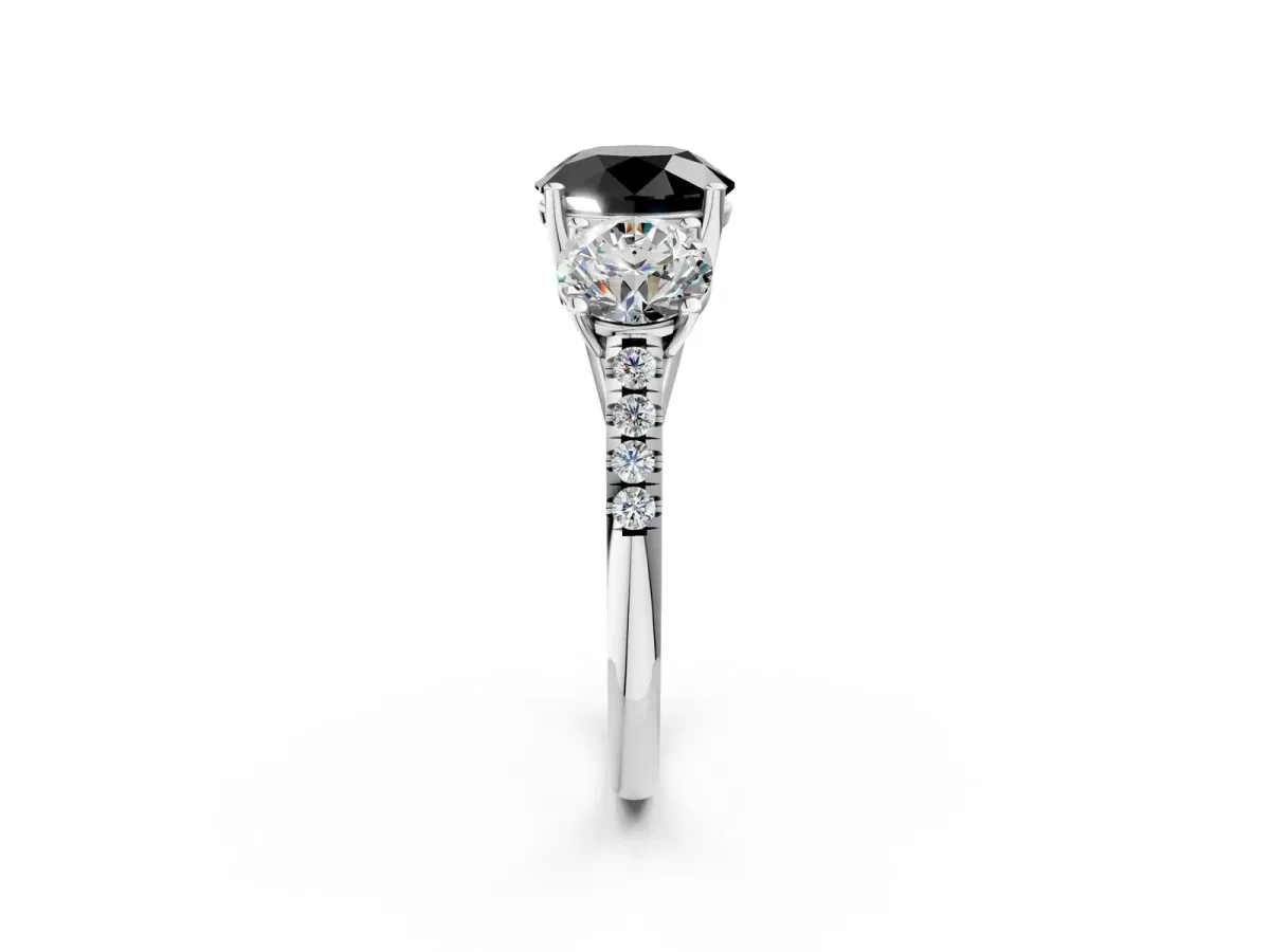 Fancy Black Three-Stone Round Cut Diamond Ring with Round Pavé Band and Prong Setting Platinum