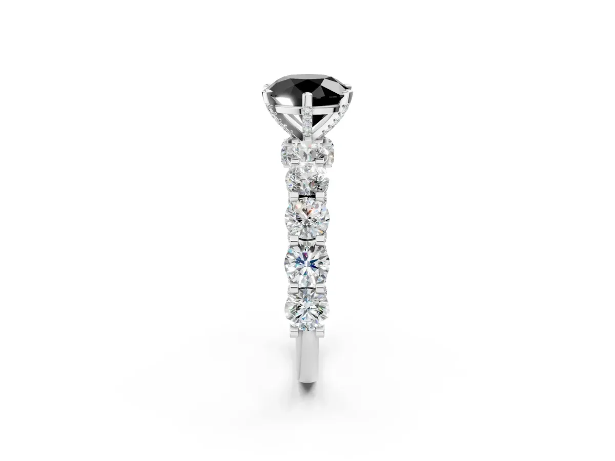 Fancy Black Round Cut Diamond Side Stone Engagement Ring with Four-Prong Setting Platinum