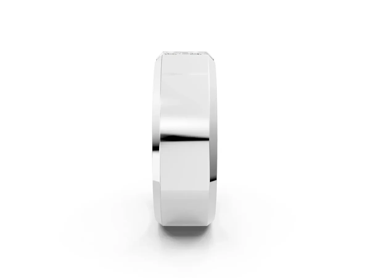 Princess Diamond Two-Stone Mens Band Platinum