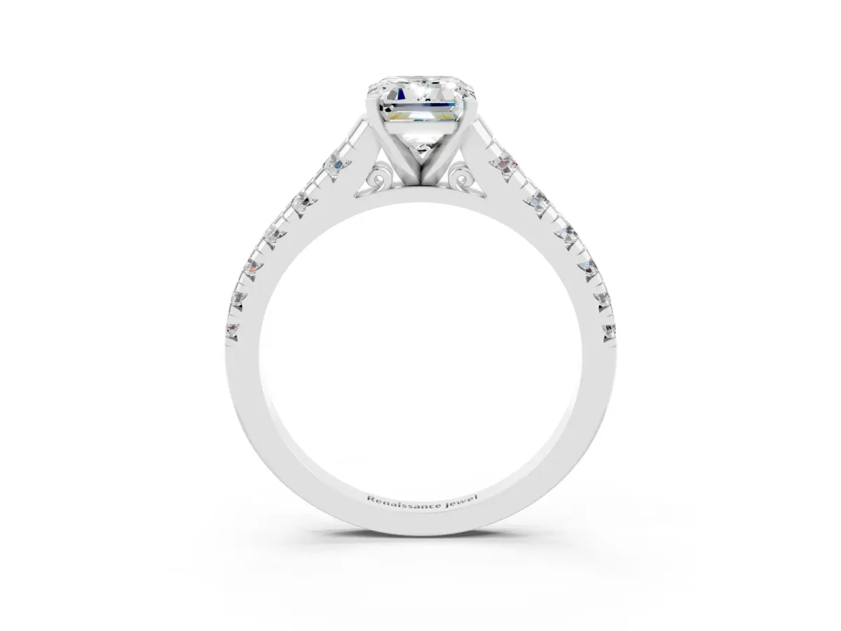Emerald Cut Moissanite Cathedral Solitaire Ring with Round Pavé Band Silver